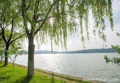 梦到挖地是什么意思_梦见挖土有什么预兆