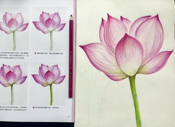 荷花怎么画_荷花简笔画步骤