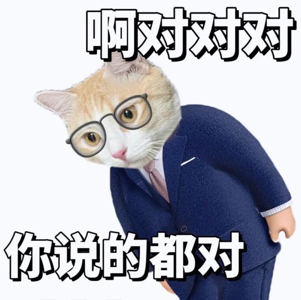 说的太对了图片大全哪里找_如何快速下载无水印