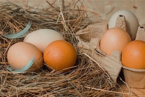 怀孕梦到鸡蛋是什么意思_孕妇梦见鸡蛋生男生女