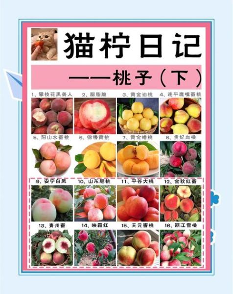 宝宝能吃桃子吗_几个月可以吃