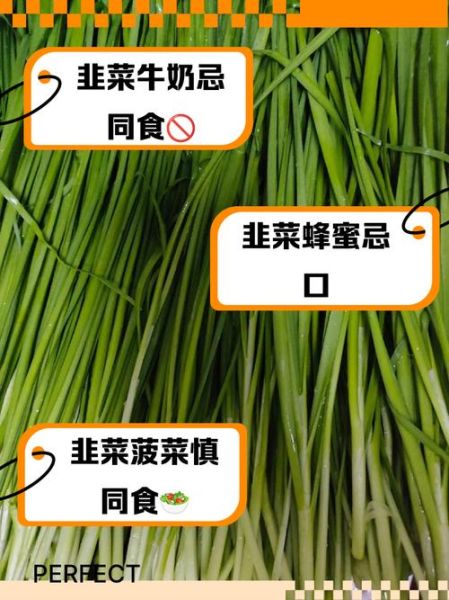 梦到买韭菜是什么意思_韭菜梦境解析