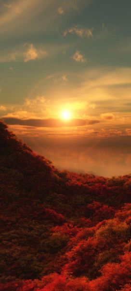 手机风景壁纸哪里找_如何下载高清原图