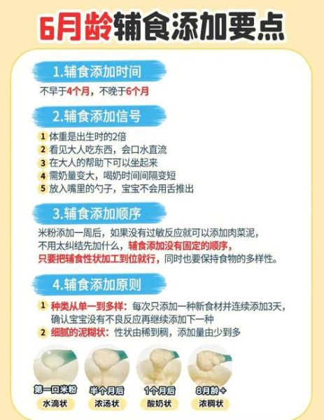 家有宝宝如何科学喂养_宝宝辅食添加时间表