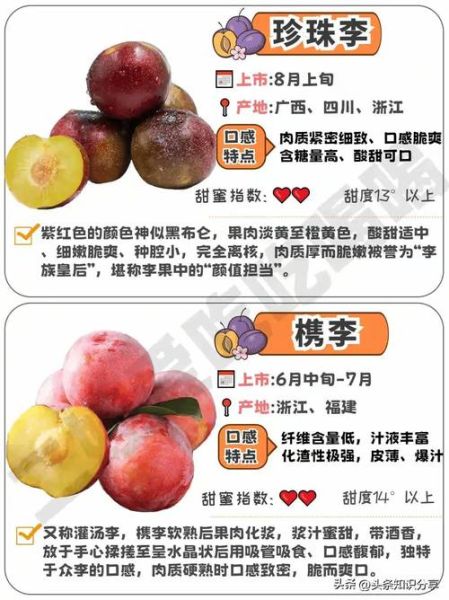 李子图片大全_如何挑选高清李子图