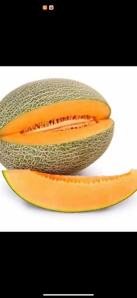 哈密瓜图片大全大图_如何挑选高清哈密瓜图