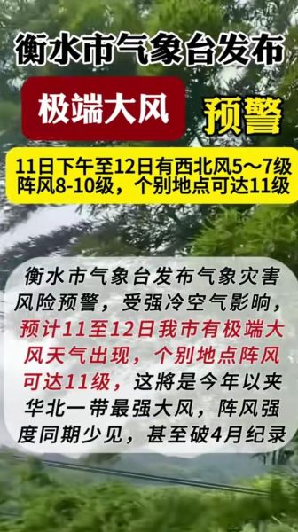 梦到刮大风是什么意思_梦见大风预示什么