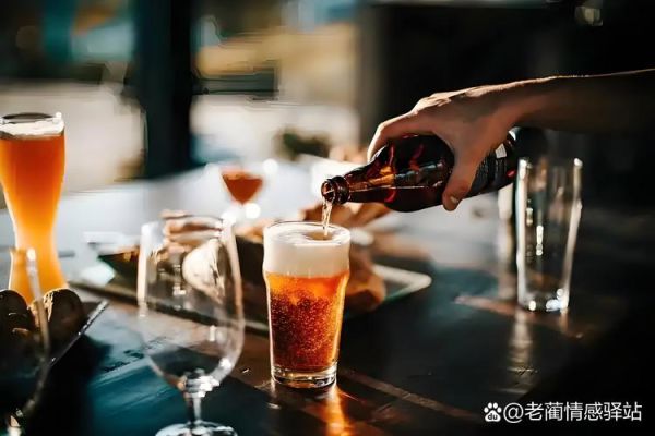 梦到喝啤酒是什么意思_周公解梦准吗