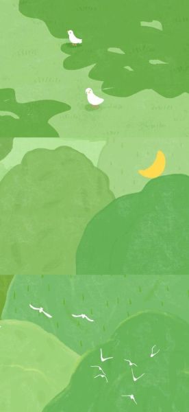 绿色背景图片大全_如何挑选高清绿色壁纸