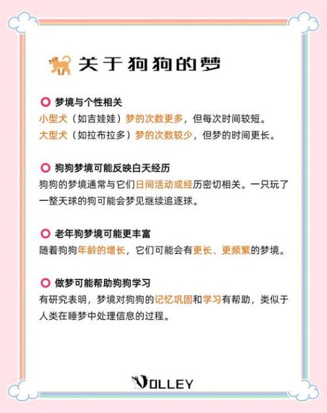 梦到养狗是什么意思_如何解读梦境中的狗