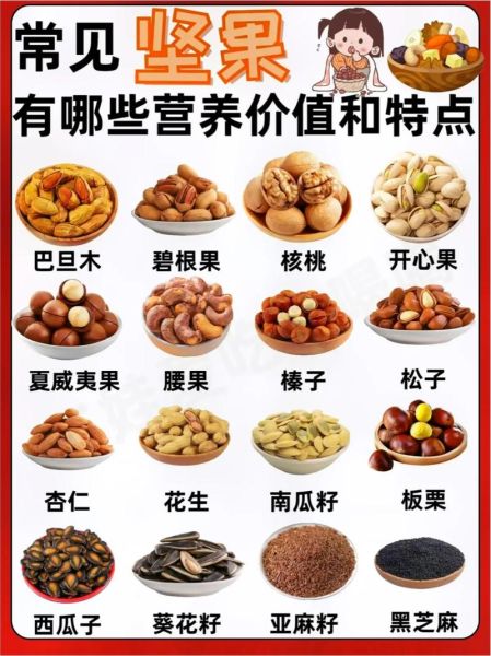 坚果图片大全_坚果种类有哪些