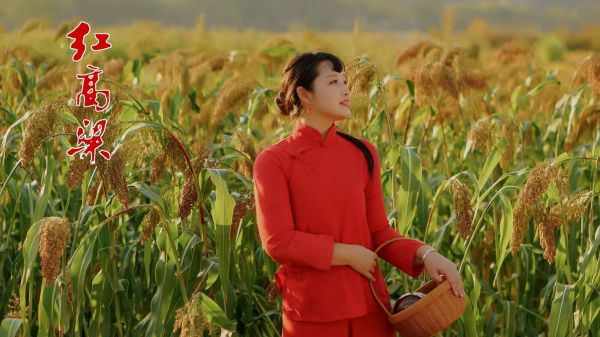 红高粱迅雷下载_红高粱高清资源哪里找