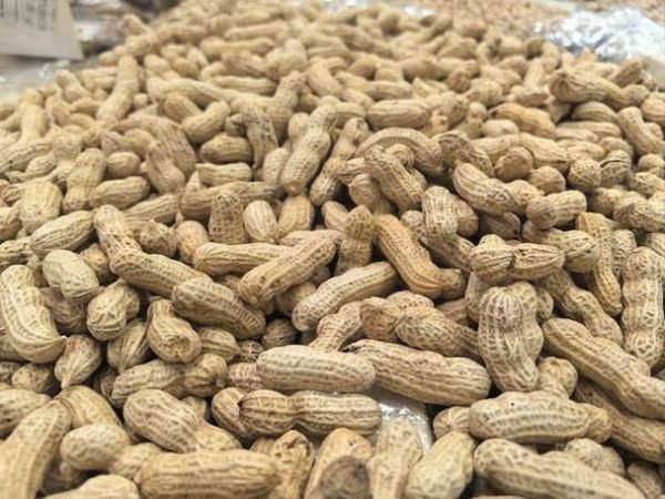 孕妇梦见花生是什么意思_孕期梦到花生生男生女