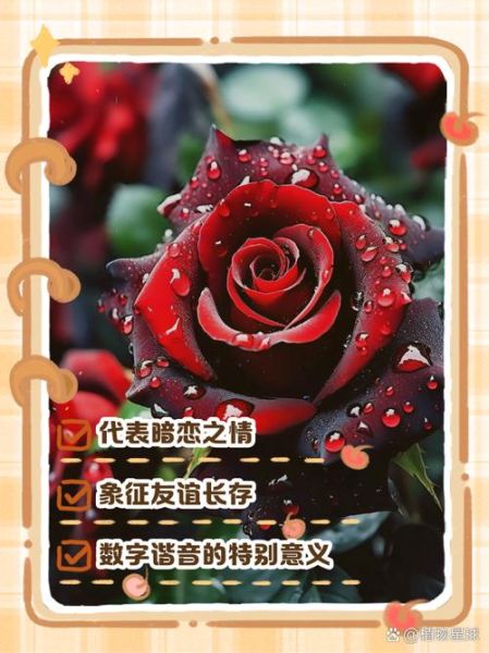 梦到玫瑰花是什么意思_周公解梦玫瑰花