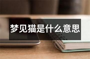 梦到一窝猫_周公解梦准吗