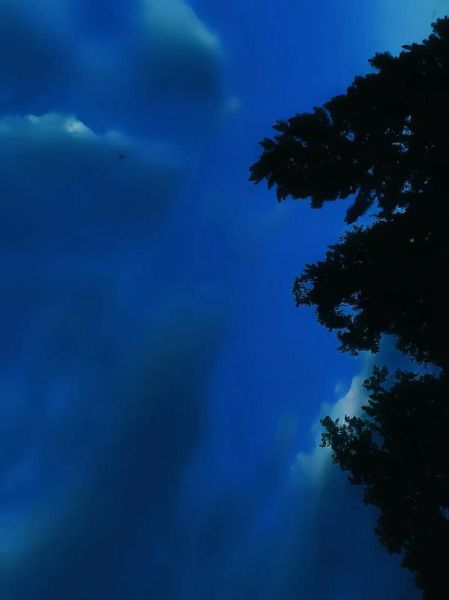 梦到蓝色代表什么_蓝色梦境的心理暗示