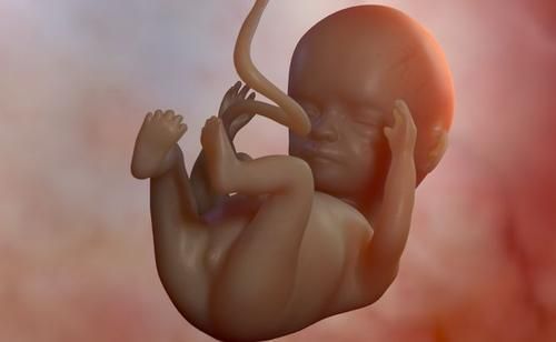 怀孕三个月宝宝有多大图片_怀孕三个月胎儿发育图怎么看