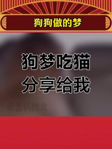 梦到吃猫是什么意思_梦到吃猫预示着什么