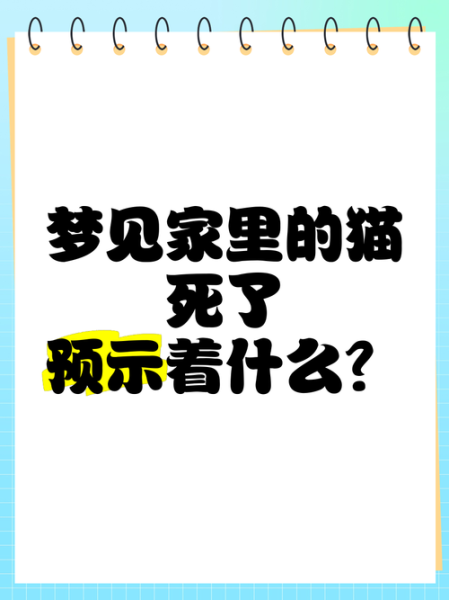 女人梦到猫是什么意思_梦见猫是吉还是凶