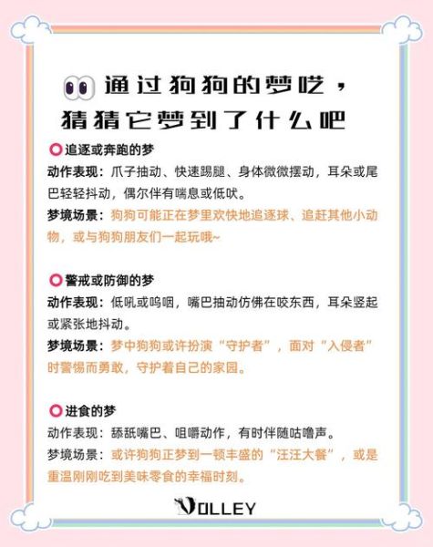 梦到几条狗_代表什么预兆