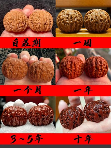 核桃图片大全大图_如何挑选高清核桃图