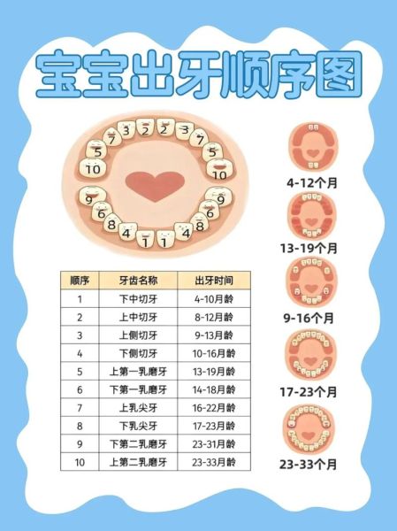 宝宝不长牙齿是什么原因_宝宝几个月长牙算正常