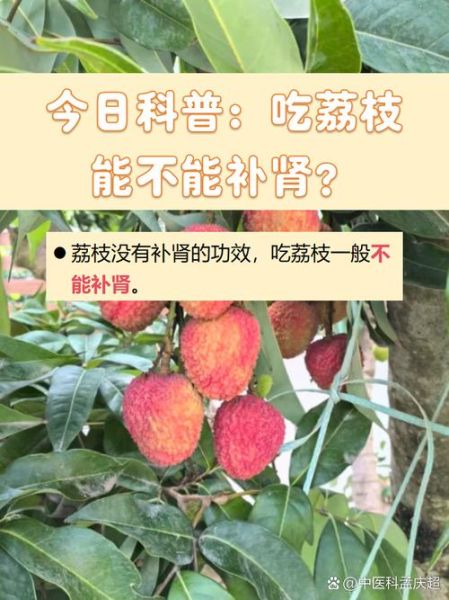 八个月宝宝能吃荔枝吗_荔枝怎么吃才安全