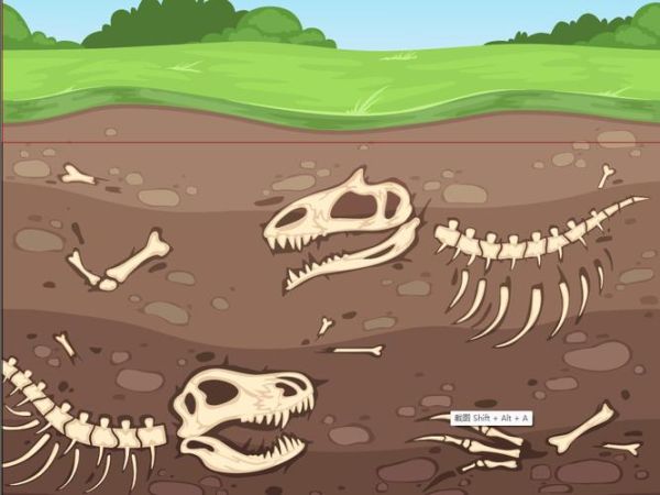 恐龙化石图片大全_恐龙化石怎么形成的