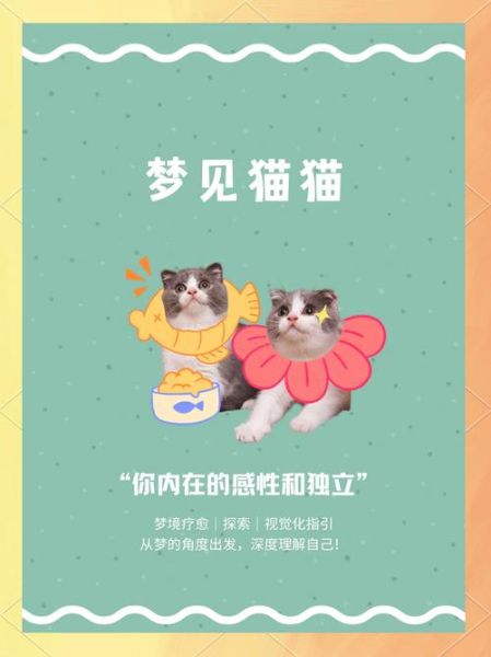 梦到一只小猫是什么意思_梦见小猫代表什么