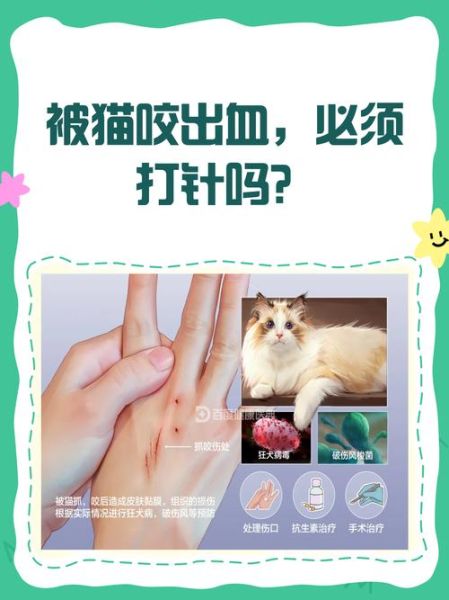 梦到被猫咬出血_猫咬出血梦境解析