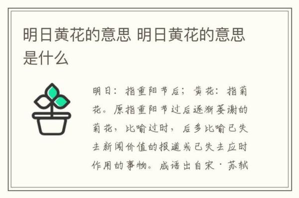 梦到黄花是什么意思_梦见黄花预示什么
