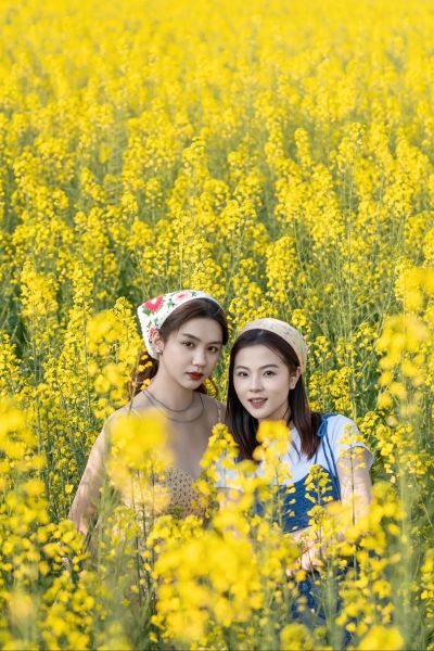 花景图片大全哪里找_如何拍摄花海大片