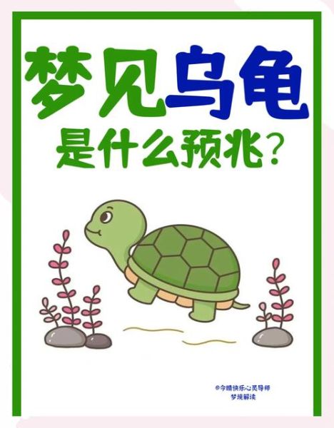 梦到乌龟咬我_梦见乌龟咬手是什么意思