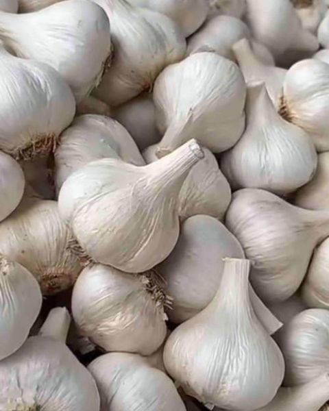 梦到大蒜是什么意思_梦见大蒜是吉是凶