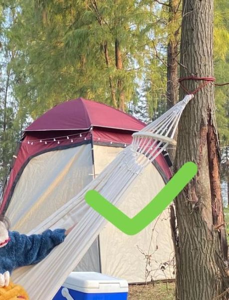 吊床图片大全_吊床怎么选