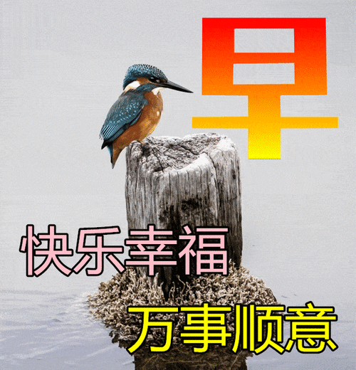 问后语动态图片大全_如何制作搞笑动图