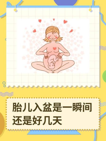宝宝入盆后肚型变化_如何判断入盆成功