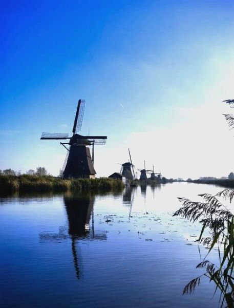 荷兰风车图片大全_如何拍摄最美角度