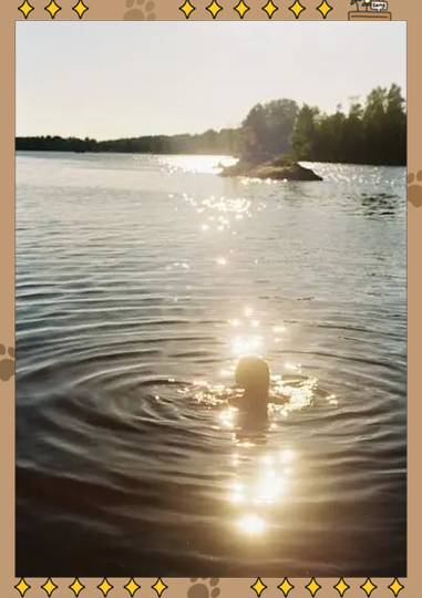 梦到下水是什么意思_梦见下水好不好