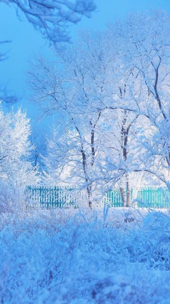 冬天雪景图片怎么拍_冬日唯美图片去哪找