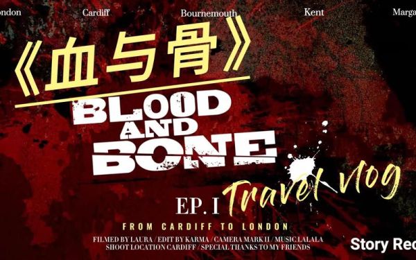 血与骨迅雷下载_血与骨高清资源在哪找