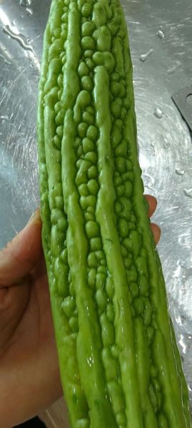 梦到苦瓜是什么意思_苦瓜梦境解析