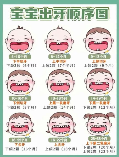 宝宝出牙早代表什么_出牙早的宝宝聪明吗