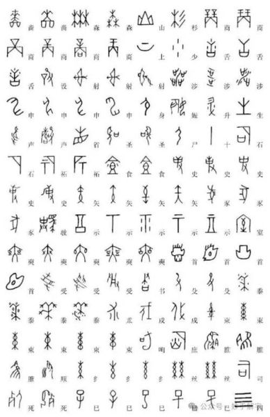 甲骨文图片大全_甲骨文怎么读