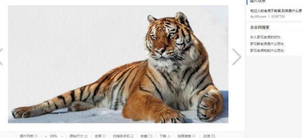 梦到老虎吃人_老虎吃人梦境解析