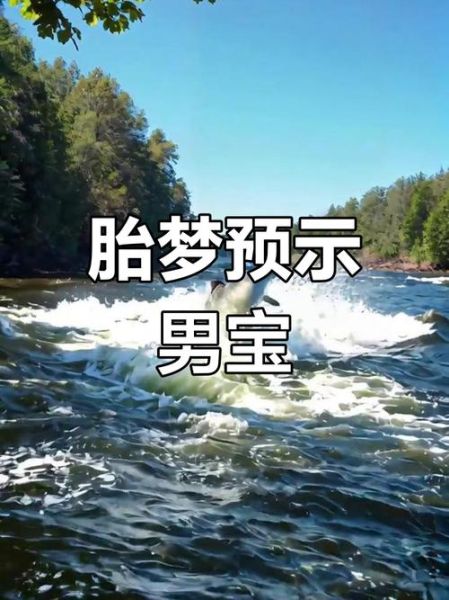 怀孕梦到大鱼是什么意思_孕妇梦见大鱼生男生女