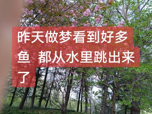 梦到别人吃鱼是什么意思_梦见别人吃鱼好不好