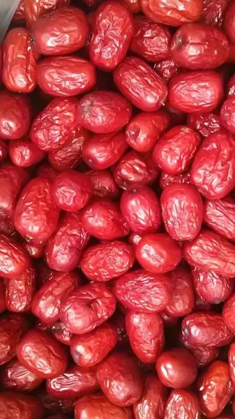 枣子图片大全_如何挑选优质红枣