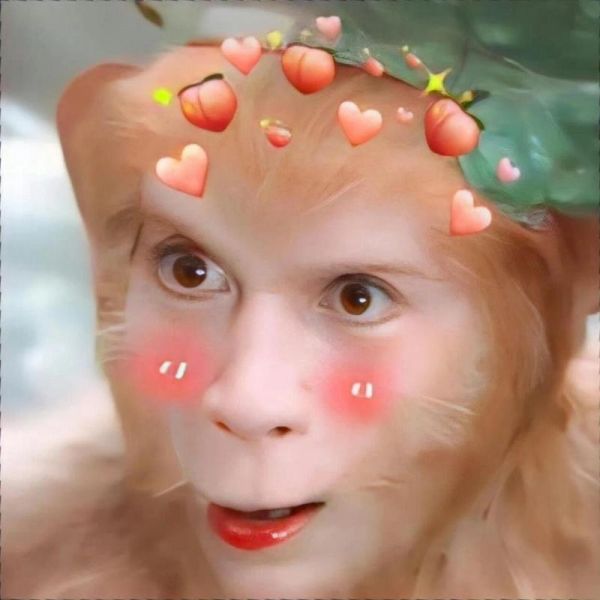 孙悟空头像图片大全_哪里找高清无水印