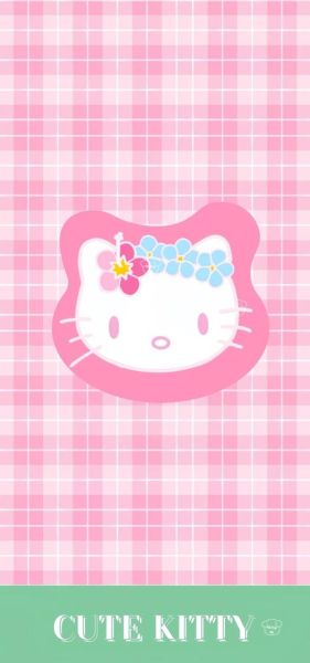 kt猫图片大全可爱_如何挑选高清无水印